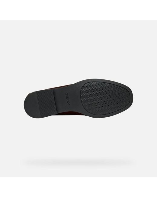 Geox Brown Noemen