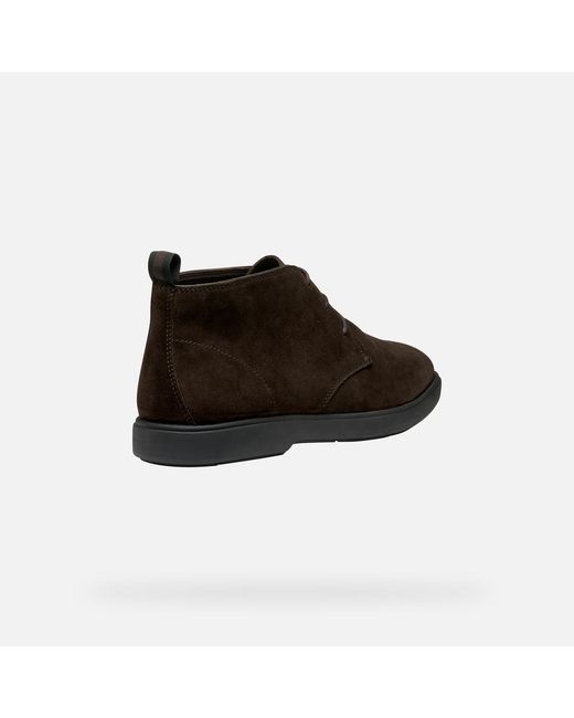 Geox Brown Spherica Ec17 for men