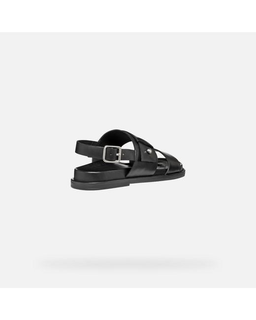 Geox Black Adelash