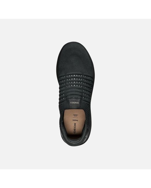 Geox Black Spherica Plus