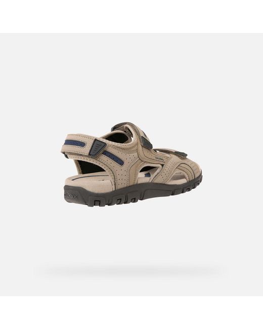 Geox Multicolor Strada for men