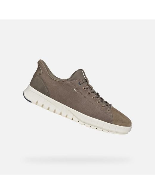 Geox Gray Flextride Plus for men