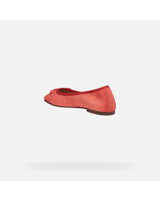 Geox Red Marsilea