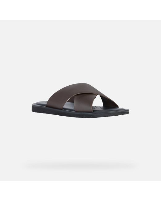 Geox Brown Erice for men