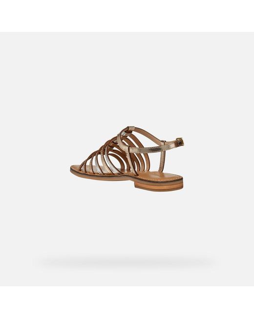 Scarpe Maddalusia C Donna di Geox in Brown
