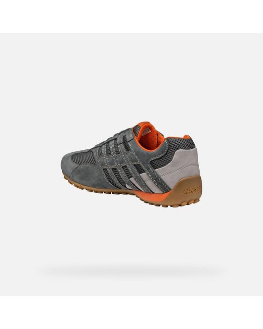 Geox Gray Snake Original for men