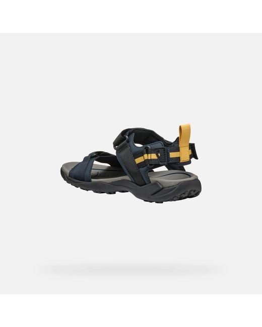 Geox Blue Terreno + Grip for men