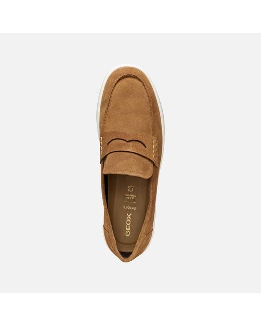 Geox Brown Spherica Ecub-1 for men