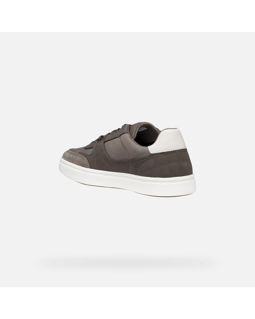 Geox Gray Baltmoore for men