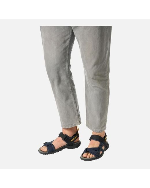 Geox Blue Terreno + Grip for men