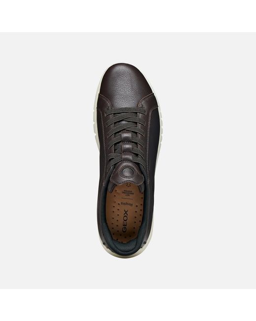 Geox Black Aerantis Plus for men