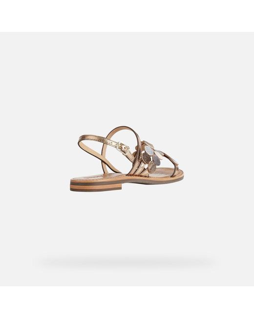 Geox Metallic Sozy S