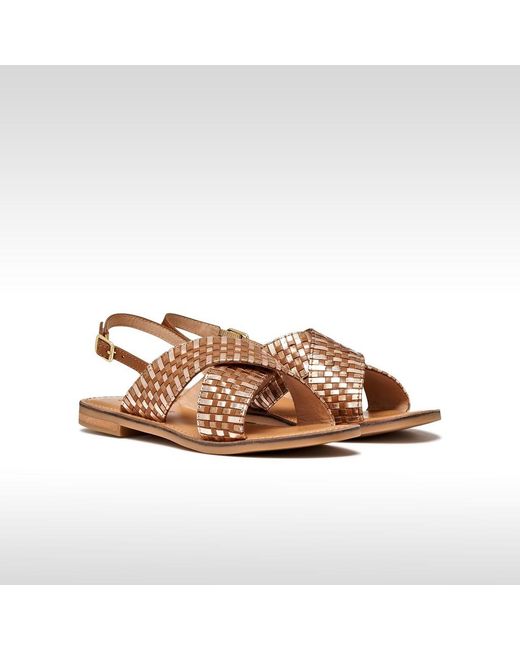 Geox Brown Maddalusia C
