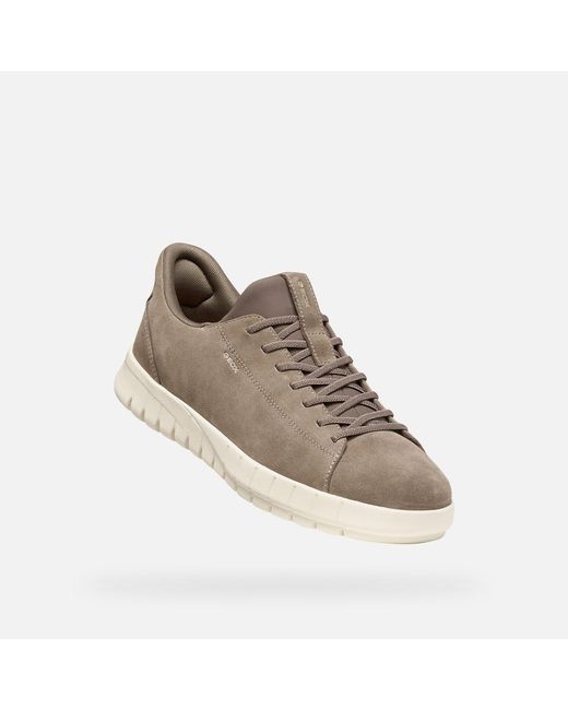 Geox Gray Flextride Plus for men