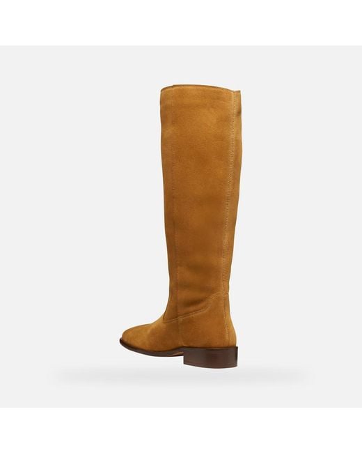 Geox Brown Eliebeth