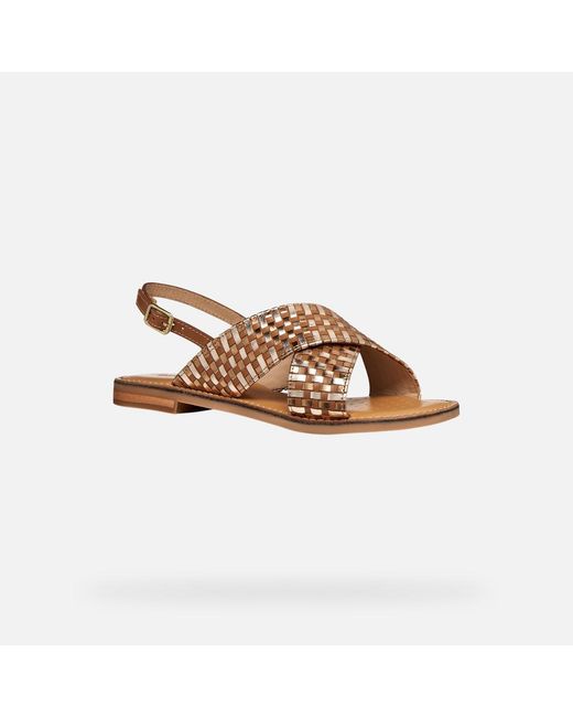 Geox Brown Maddalusia C