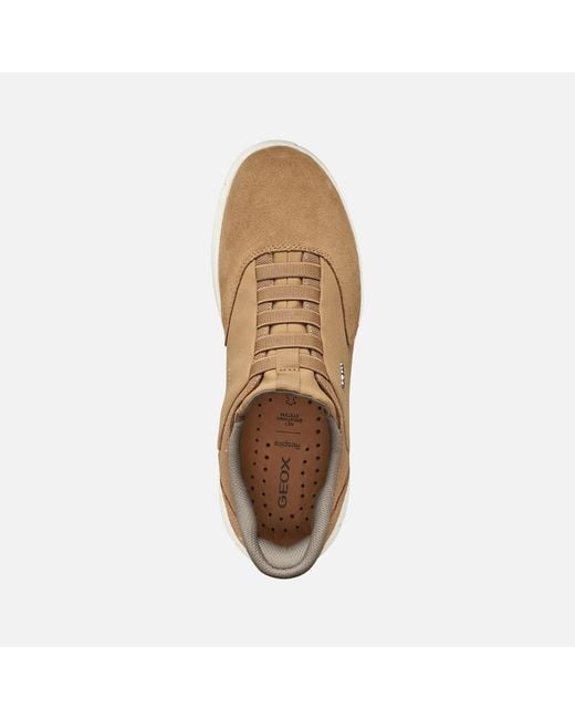 Geox Brown Nebula 2.0 Plus for men