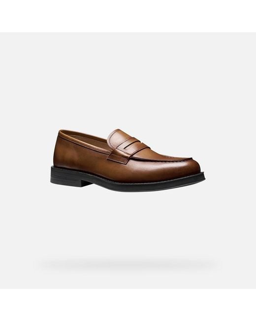 Geox Brown Medos for men