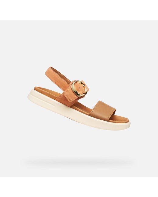 Geox Multicolor Xand 2S