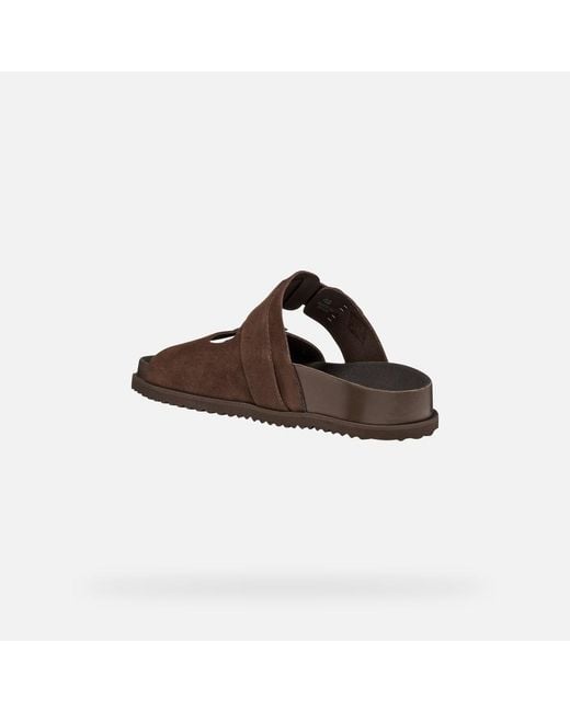 Geox Brown Parnaiba for men