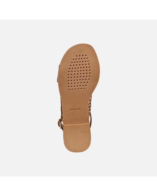 Geox Brown Maddalusia C