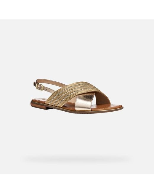 Scarpe Sozy Plus Donna di Geox in Multicolor