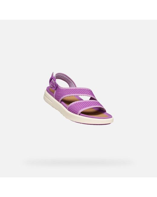Geox Purple Climasandal Sprt