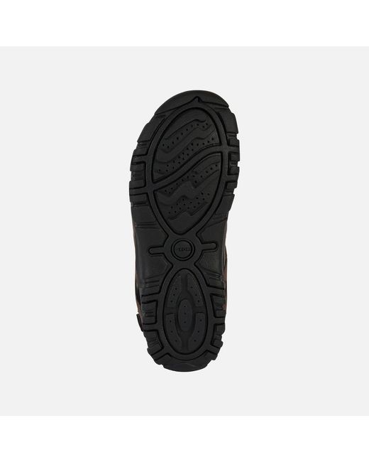 Geox Brown Strada for men