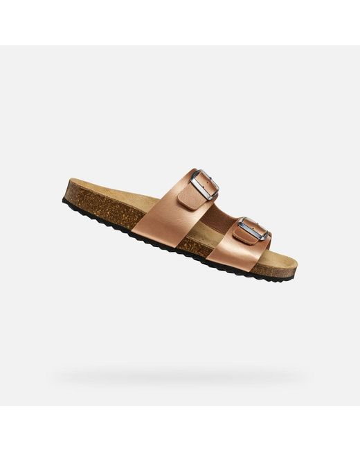 Geox Brown Brionia