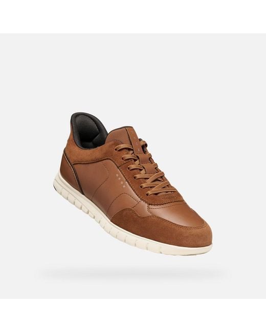 Geox Brown Flextridezero Plus for men