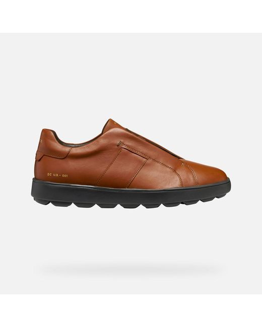 Geox Schuhe Spherica Ecub-1 Herr in Brown für Herren