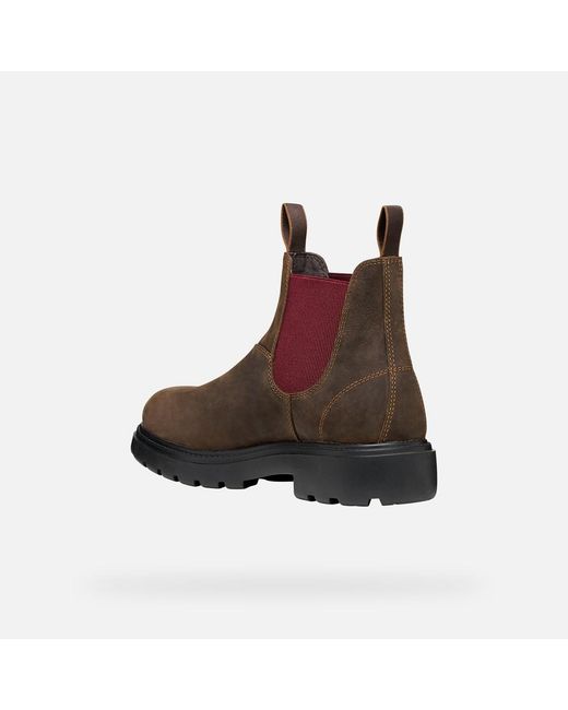 Geox Brown Spherica Ec7 B Coffee/Bordeaux for men