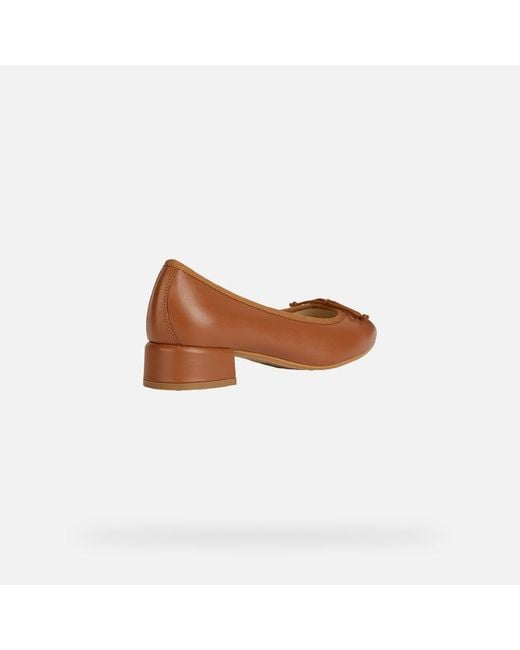 Geox Brown Schuhe Floretia