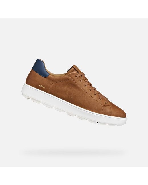 Geox Brown Spherica Ecub-1 B for men
