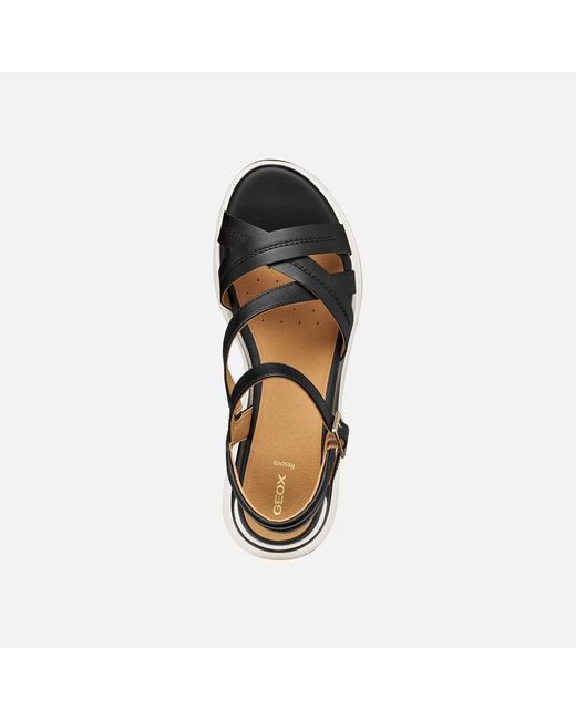 Geox Black Elowynne