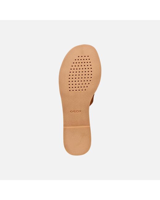 Geox Brown Maddalusia C Camel/Papyrus