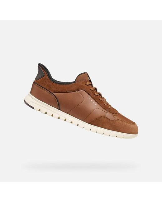 Geox Brown Flextridezero Plus for men