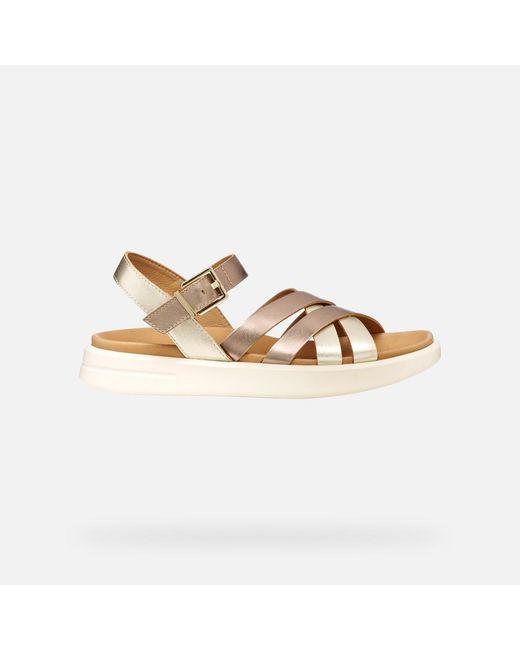 Geox Metallic Xand 2S