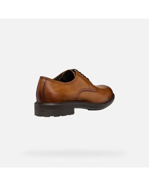 Geox Brown Walk Pleasure B for men
