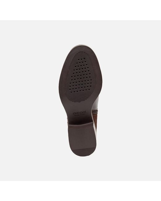 Geox Brown Camexia