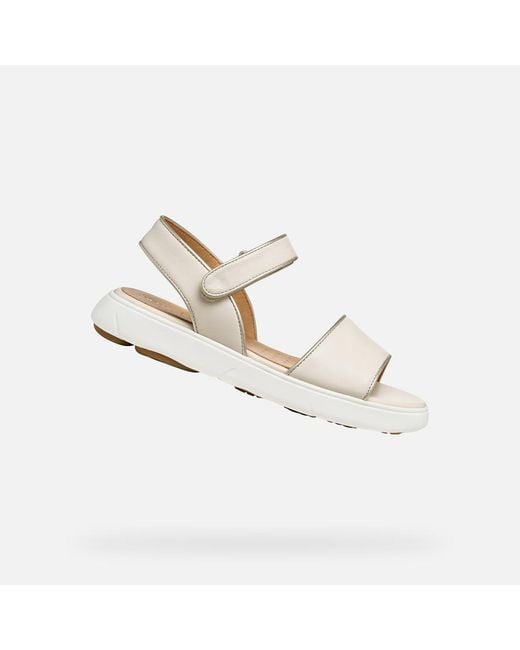 Geox White Nebula 2.0 C S