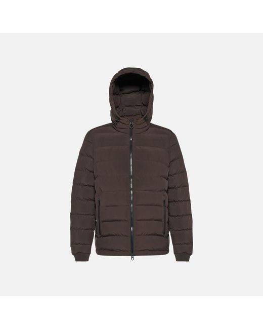 Geox Brown Spherica for men