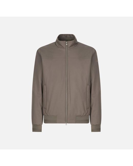 Geox Brown Vincit for men