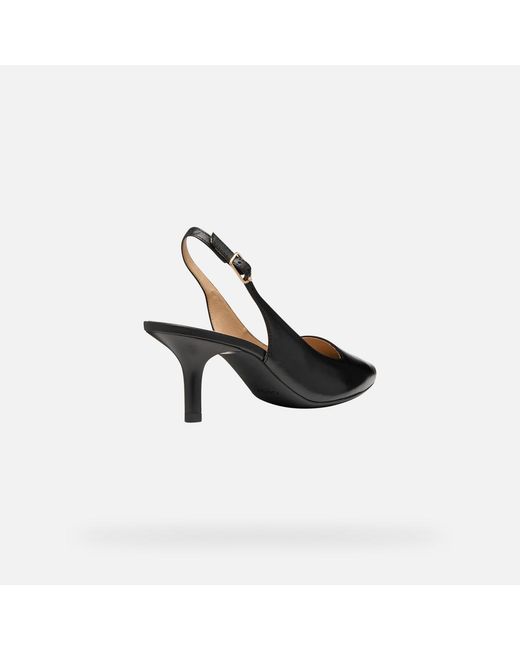Geox Black Kleopy