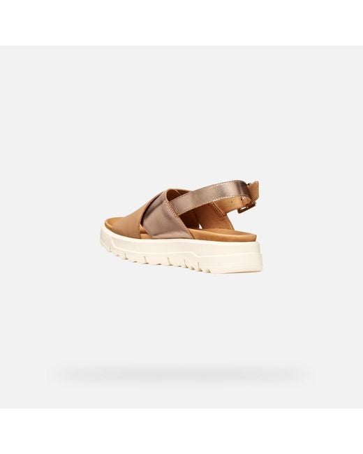 Geox Multicolor Xand 2.1S
