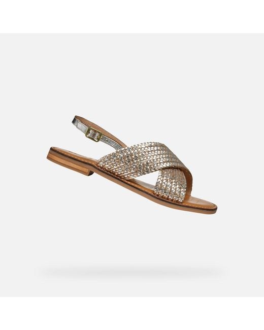 Scarpe Maddalusia C Donna di Geox in Brown