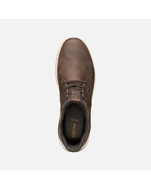 Geox Flextride Plus Herr in Brown für Herren