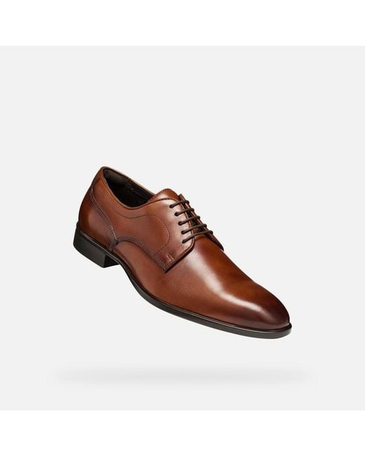 Geox Brown Thalos for men