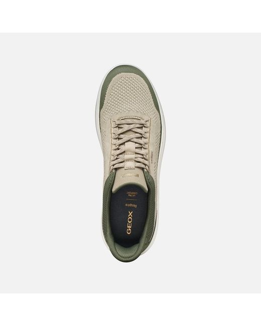 Geox Green Spherica Plus for men
