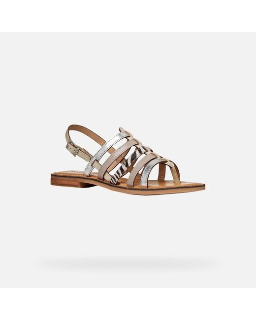 Geox Brown Maddalusia C